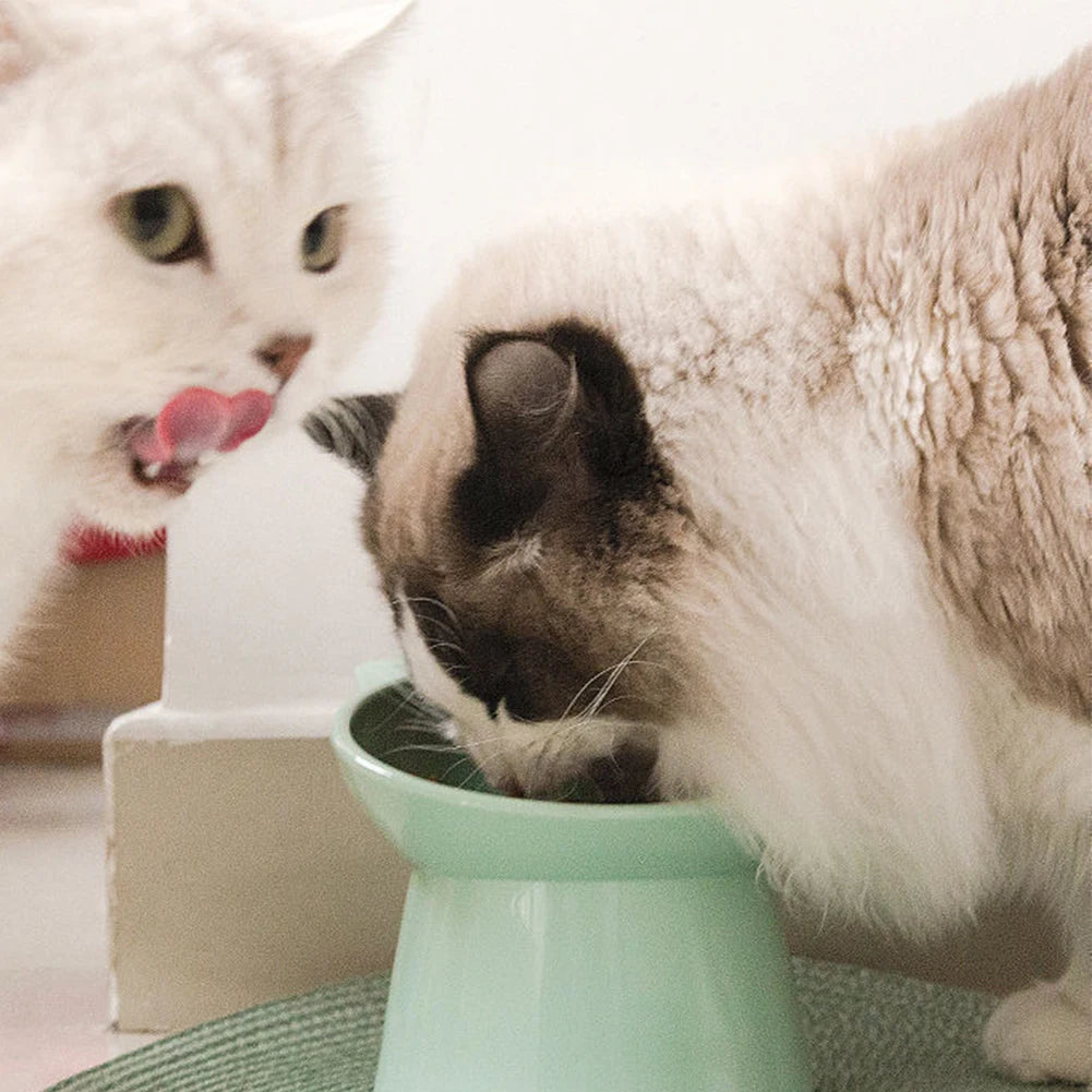 Tilted Cat Food Bowl Elevated Cat Bowl Ergonomic Cat Food Dish Anti Vomiting Plastic Feeding Bowl Non Slip for Flat- Faced Cats